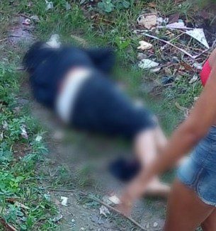 Segundo dia de operação no Complexo da Penha deixa quatro moradores mortos. Foto: Reprodução